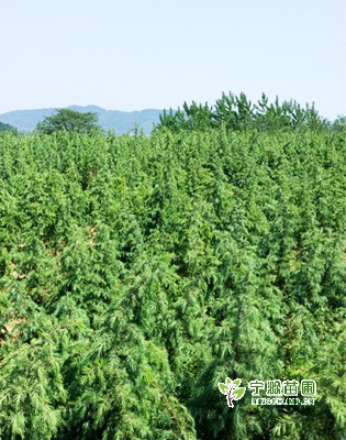 未標(biāo)題-1.jpg